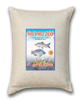 এইচবি প্রো জিও