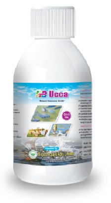 এইচবি ইউক্কা